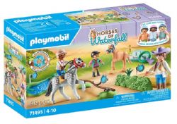 PLAYMOBIL HORSES OF WATERFALL - CAVALIERS AVEC PONEYS ET SAUT D'OBSTACLES #71495 (0624)